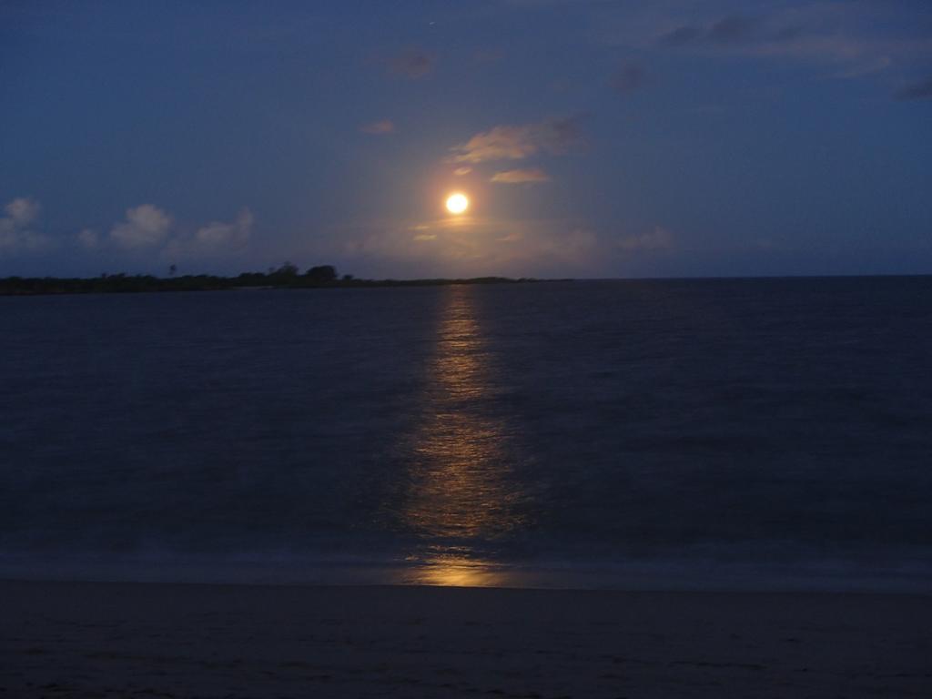 Kimbilio Lodge Kilwa Masoko Екстер'єр фото